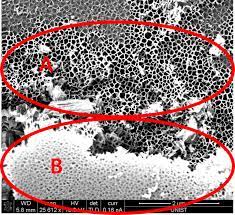 porus silicon substrate market